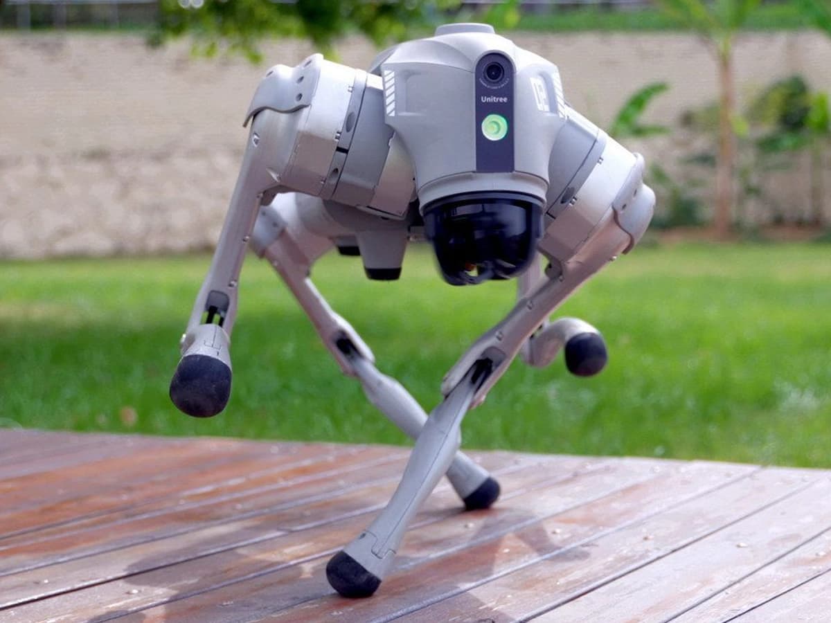 Собака-робот Unitree Go2